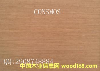 �t���b��N����Ԕ��(x��)��B