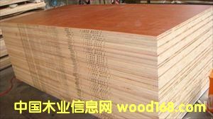 ���B(t��i)�������N���е͙n����(x��)ľ����