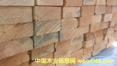 ����(j��)SPF2*4*10��Ԕ��(x��)��B