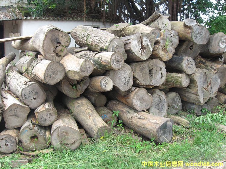 С�~�t̴ԭľ��Ԕ����B