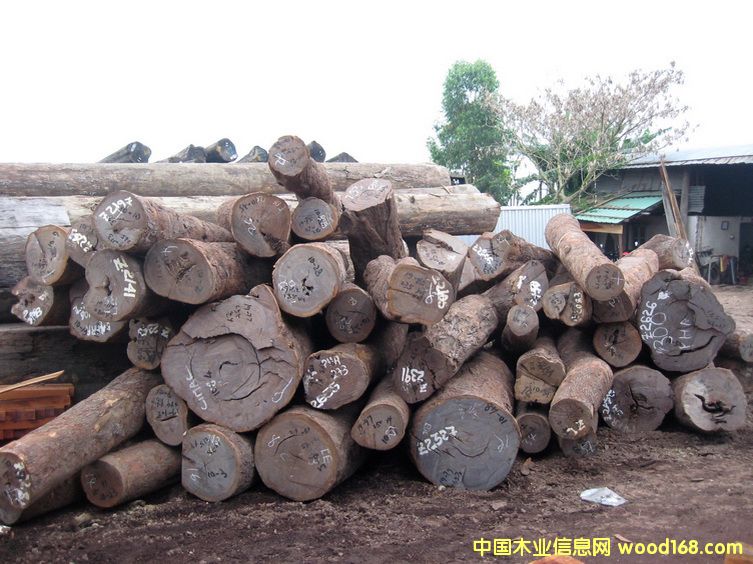 ��̴Ƥ��ԭľ��Ԕ����B