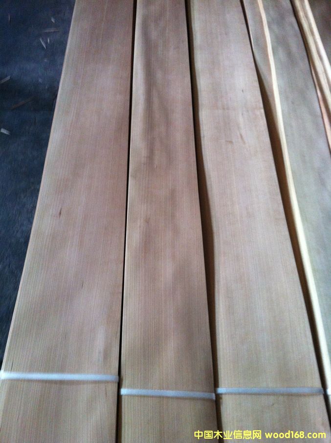 ��������ɽ�yľƤ��Ԕ����B