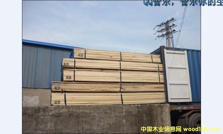 �����S��ח����Z���