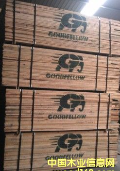 ���l(f��)�t��-�����Ԕ����B