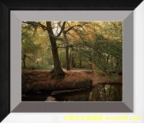 �o(w��)��(hu��)ϵ�е�Ԕ��(x��)��B