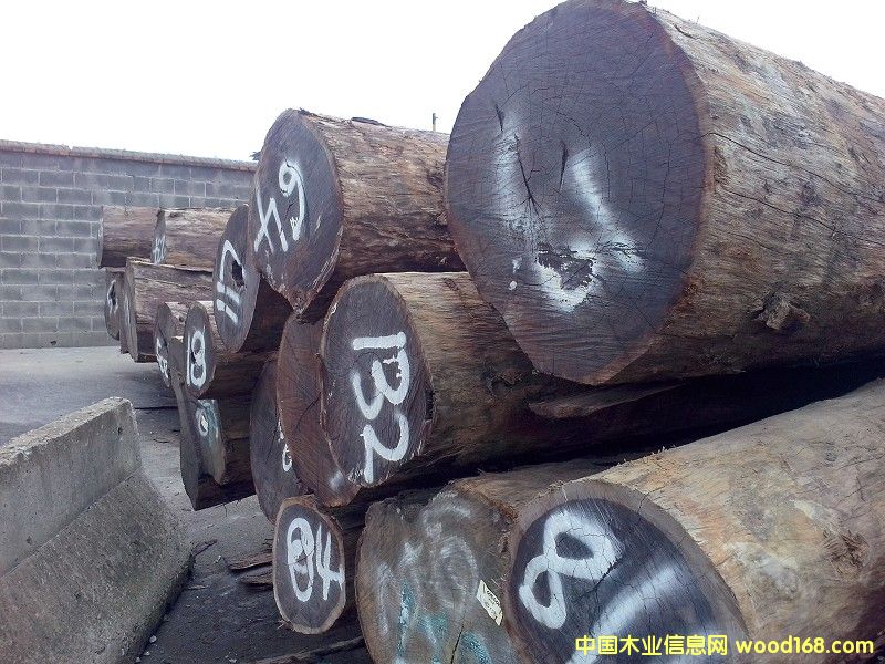 ���_�TŮ����̴