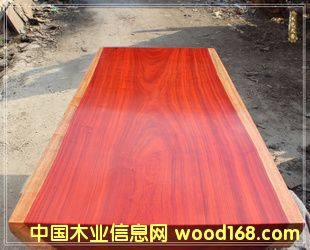 �t����178*82��Ԕ��(x��)��B