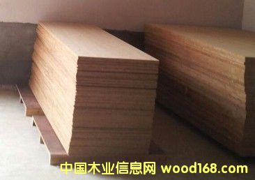 ��Ҿߵ�Ԕ��(x��)��B