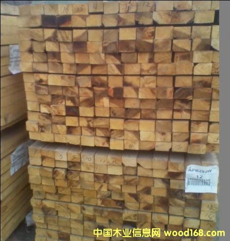 �Fɼ��Ԕ��(x��)��B