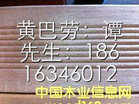 �̈́�ľ��Ԕ��(x��)��B