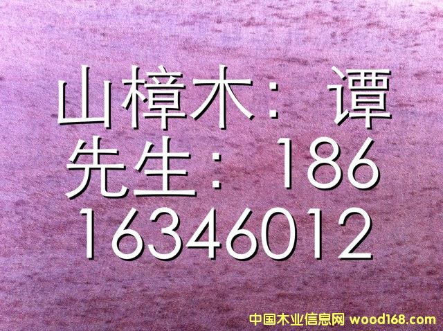 ɽ��ľ��Ԕ��(x��)��B