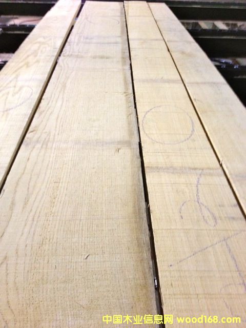 白橡的詳細介紹