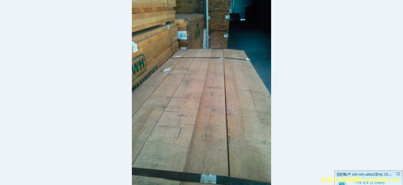 紅橡的詳細介紹