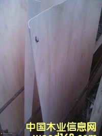 ��ľľƤ��Ԕ����B