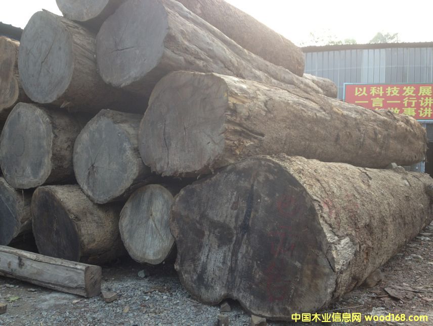 ��Ʒ��ɽ�E�