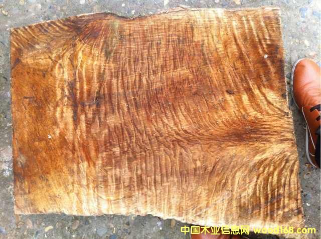 ��Ʒ�M(m��n)����(sh��)�^��