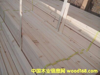 ���ɺ�ɗl��Ԕ��(x��)��B