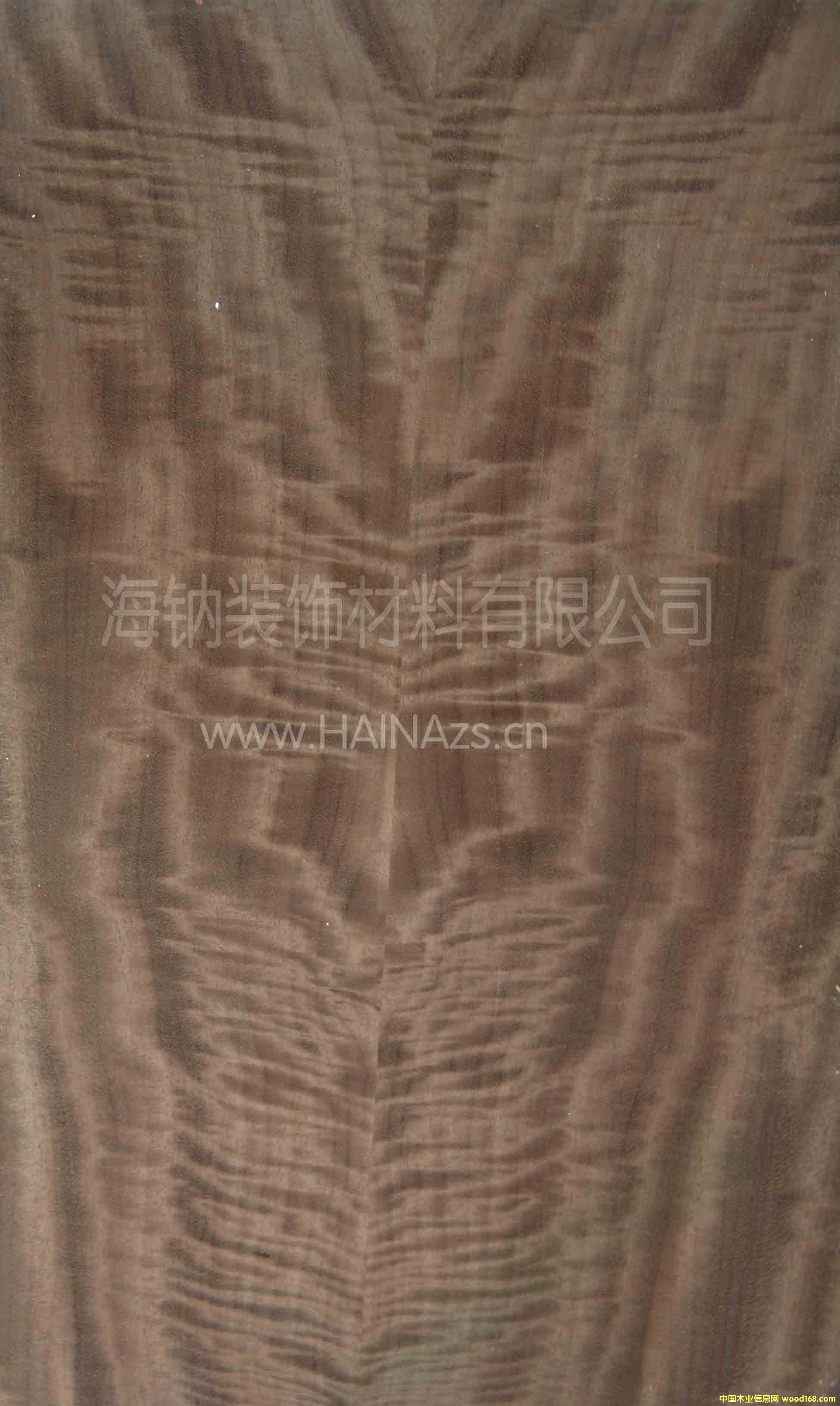 灰柏影的詳細(xì)介紹