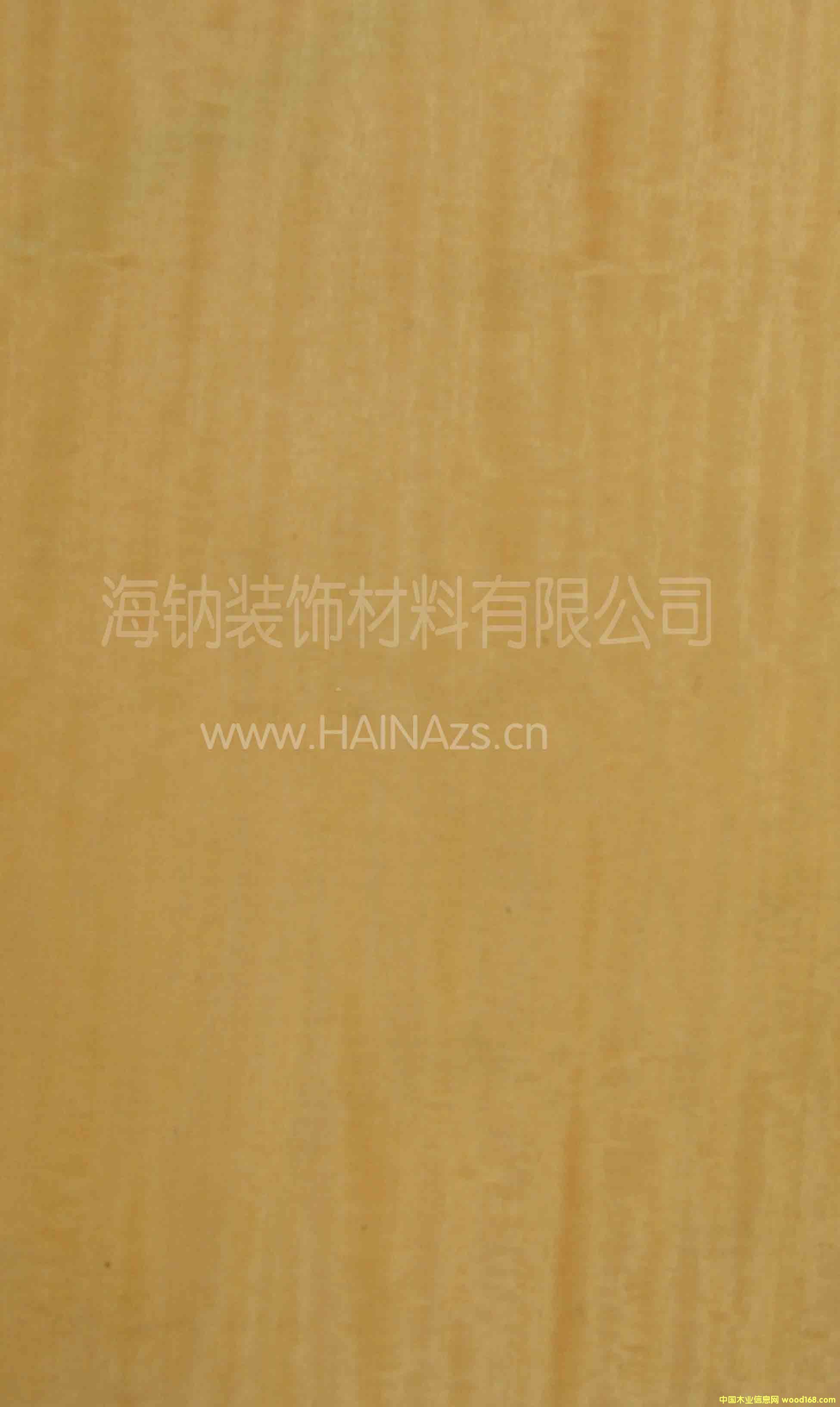 金菠蘿的詳細(xì)介紹