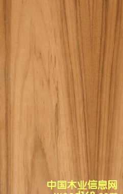 柚木的詳細(xì)介紹