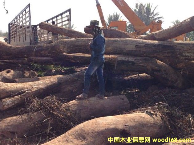 �ϓ뻨���Ԕ��(x��)��B