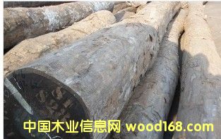 �M�� ���~�t̴��Ԕ����B