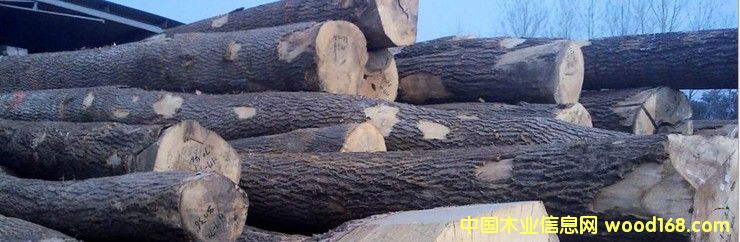 �M�� ���� ԭľ��Ԕ����B