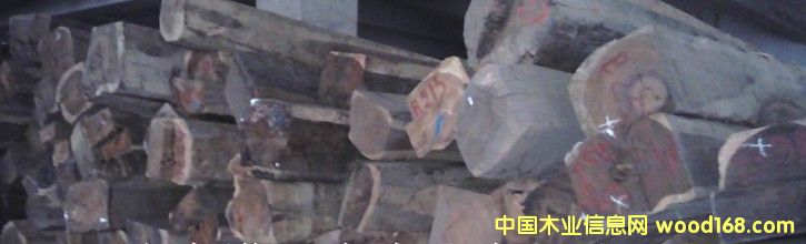 ����ɣ�R�_��˹�Ӽt��֦����