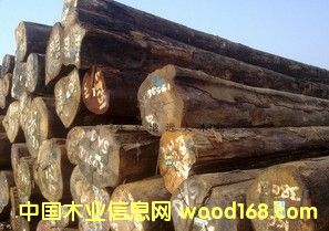 �M�ڈ�ľ ԭľ �t�� �׈�