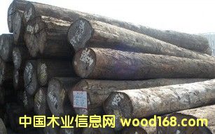 �M�� ��ľ ԭľ��Ԕ����B