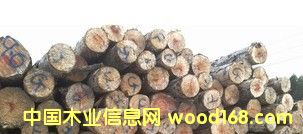 ���l(f��)�N�ۃ�(y��u)�|(zh��)A����Ʒ�|(zh��)��ԭľ