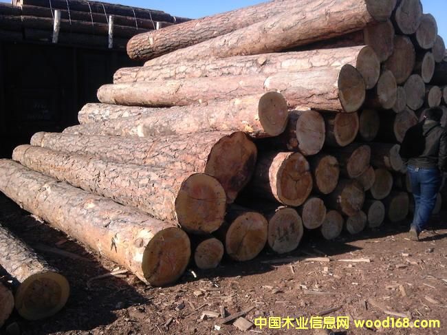 �|�����(y��ng)�����������ɵ�Ԕ��(x��)��B