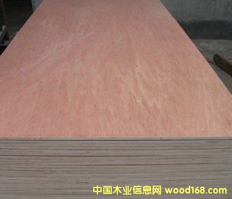 ���ǹ����b���Ԕ��(x��)��B