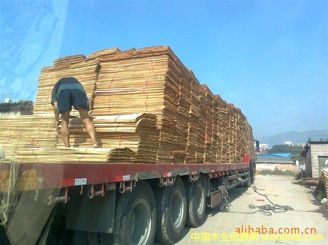 һ��(j��)���Ԕ��(x��)��B