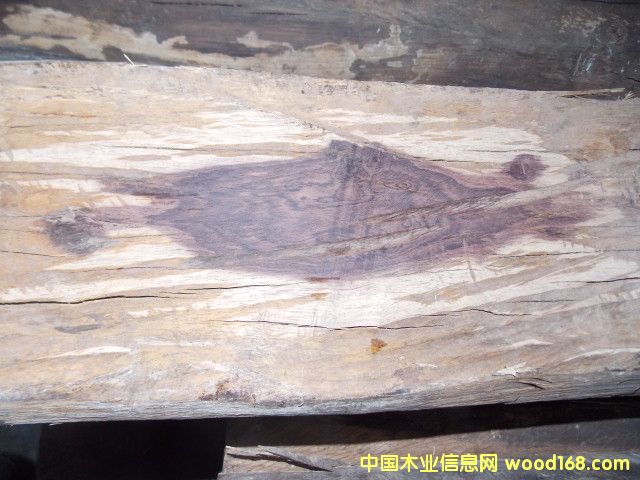 Խ�S��Ԕ��(x��)��B