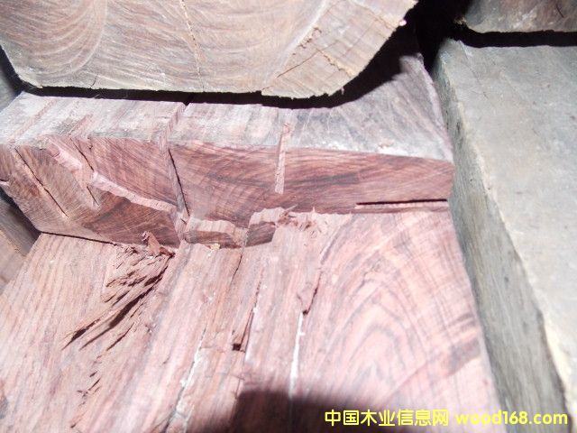 Խ���S����ľ�ĵ�Ԕ��(x��)��B