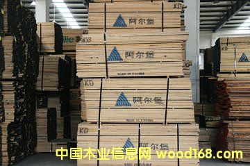 山核桃的詳細介紹