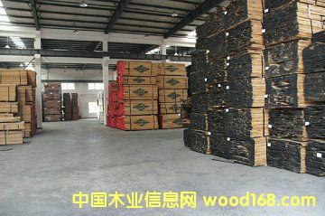 紅橡的詳細介紹