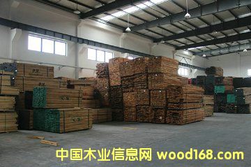 軟楓的詳細介紹