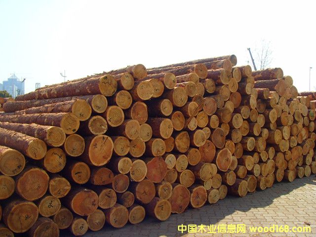 ���~�ɵ�Ԕ����B