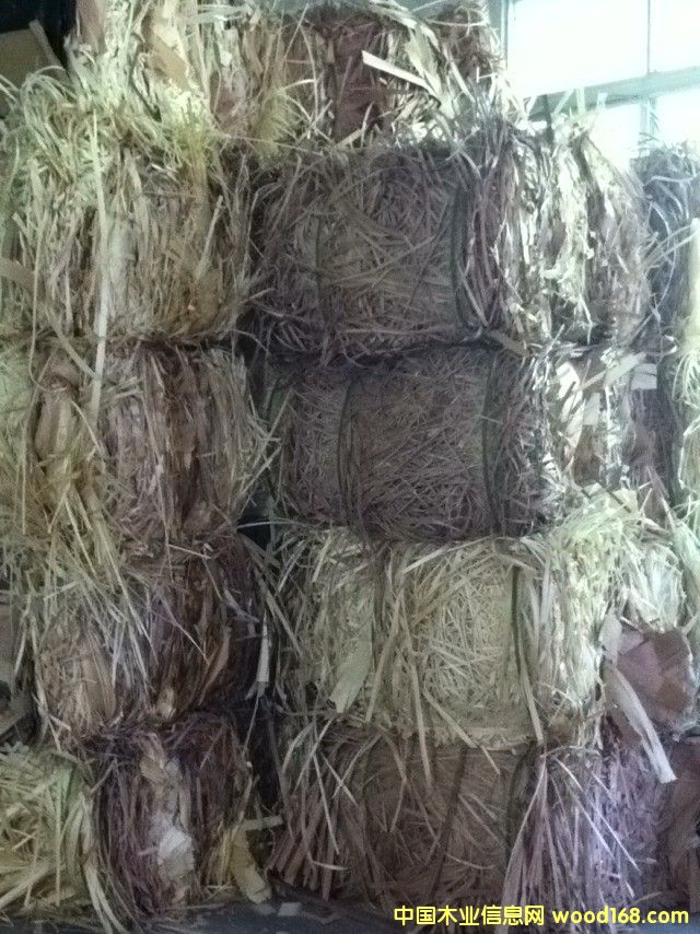 ľƤ��߅�l���ϰ�