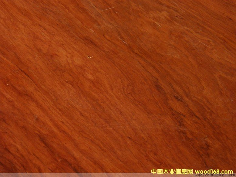 ��̖(h��o) 84-21