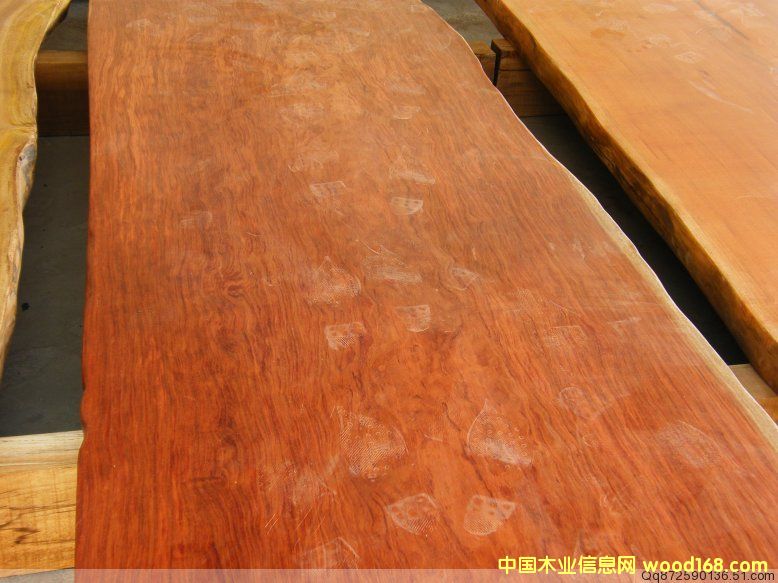 ��̖(h��o) 84-26