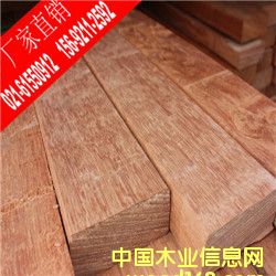 ���}���Ԕ��(x��)��B