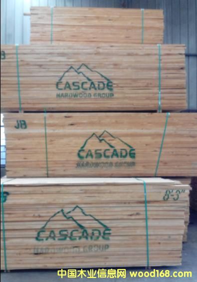 ����ľ��Ԕ����B