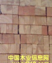 ��ľ�ذ����ǵ�Ԕ����B