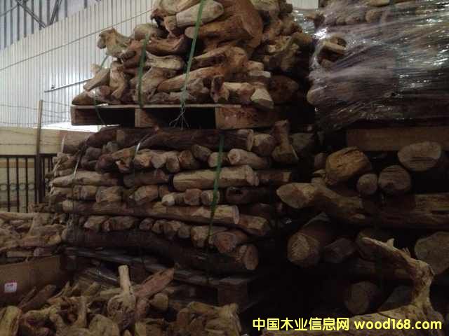 �|������T���Ԕ��(x��)��B