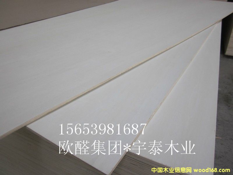 12��Ư�ח�ľ���Ӱ��Ԕ��(x��)��B