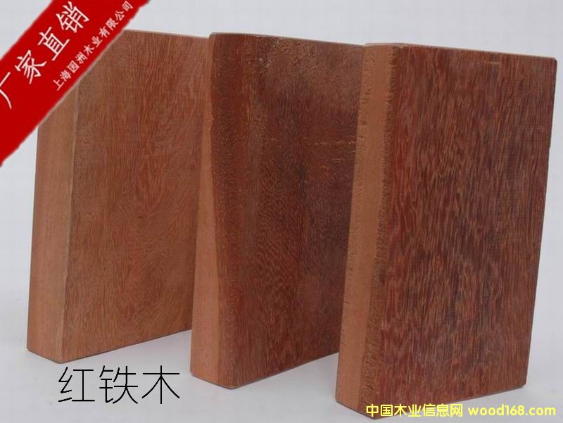 �t�Fľ��Ԕ��(x��)��B