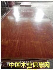 ģ���Ԕ����B